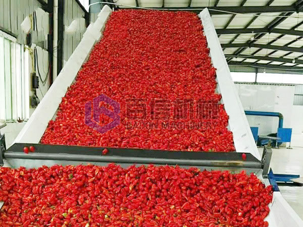 大型網帶辣椒烘干機案例